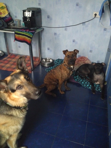 2F433D95-4DF6-46ED-9C83-EC4838041908