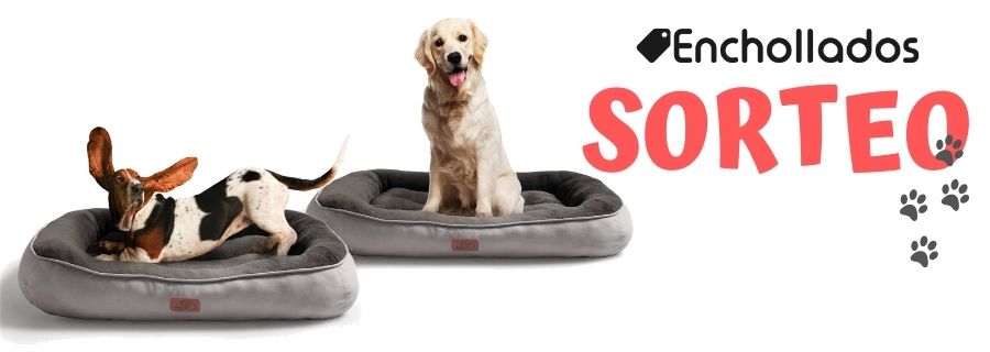 ¡Sorteo mascotero!