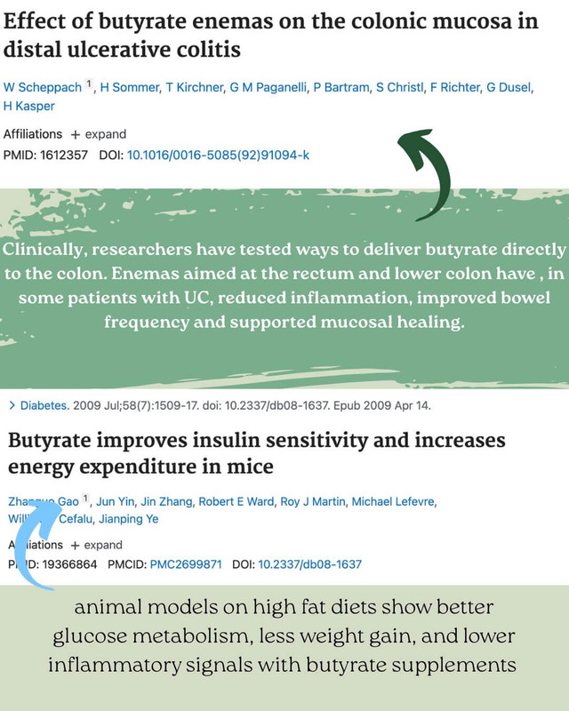 Butyrate has a wide range of beneficial effects in the body especially in relation to suppor(7)