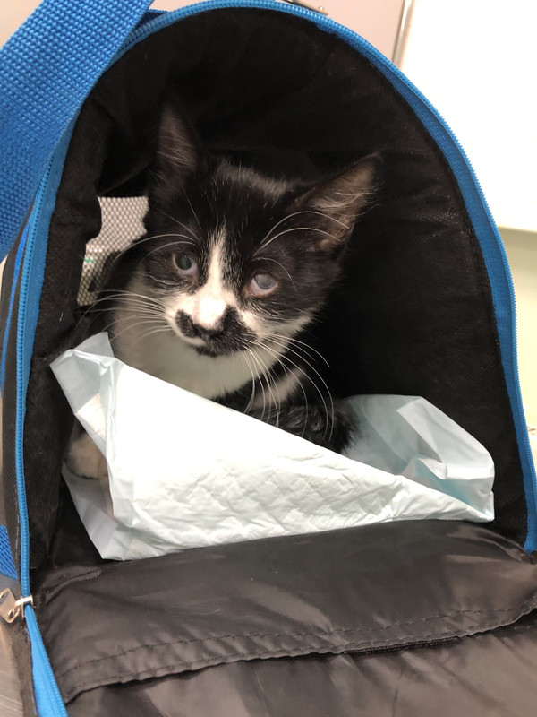 D21447D8-2616-4B62-81C0-E41717760734