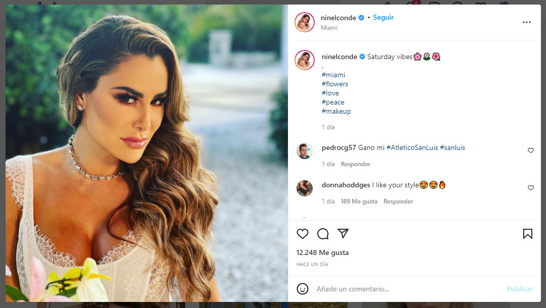 Ninel Conde luce escote de infarto en Instagram y roba miles de suspiros