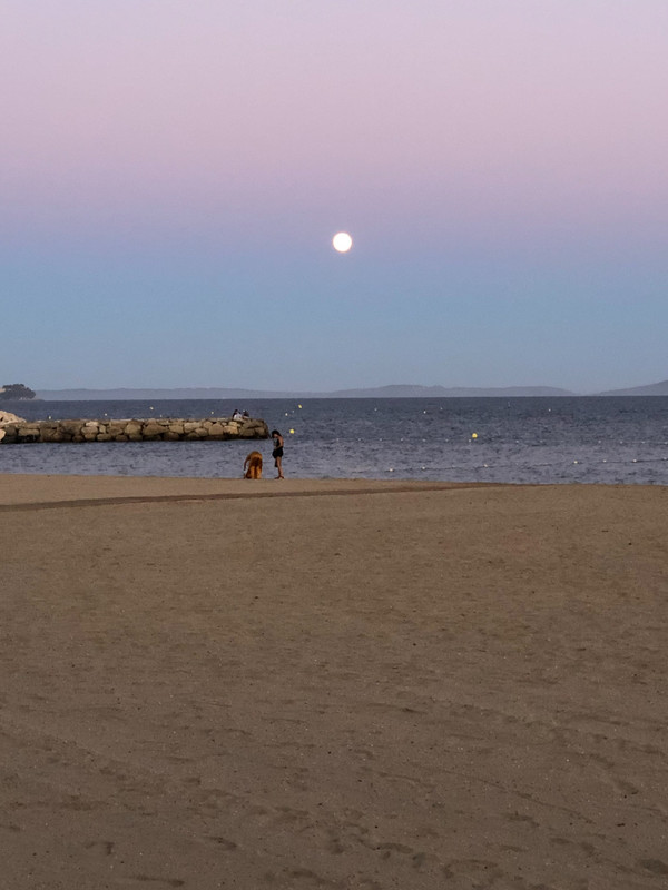 6873919A-3C2D-4345-B226-35C0A41E7B1B