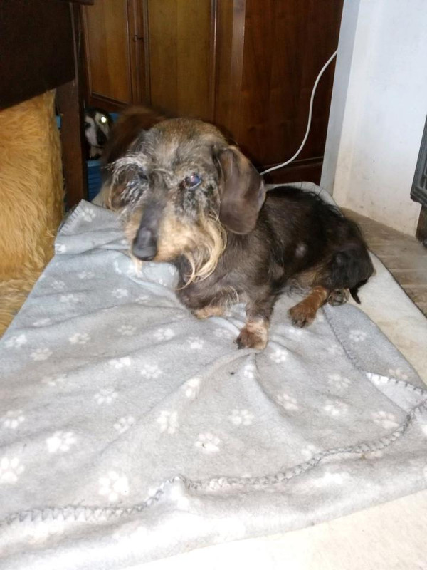 [Image: IMG-20211006-182240734.jpg]