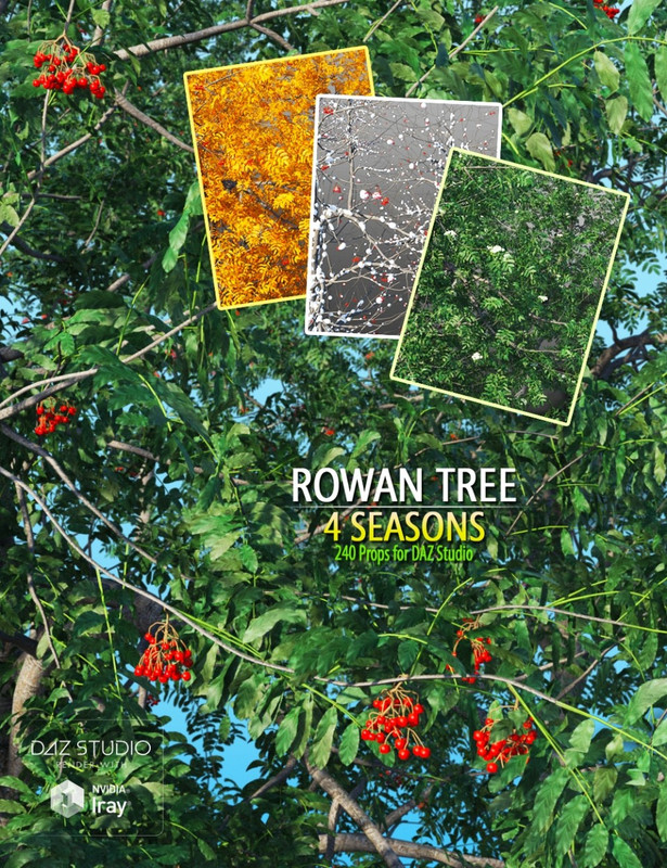     Rowan Tree