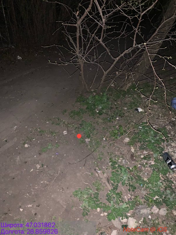 photo 2026 03 27 22 08 06