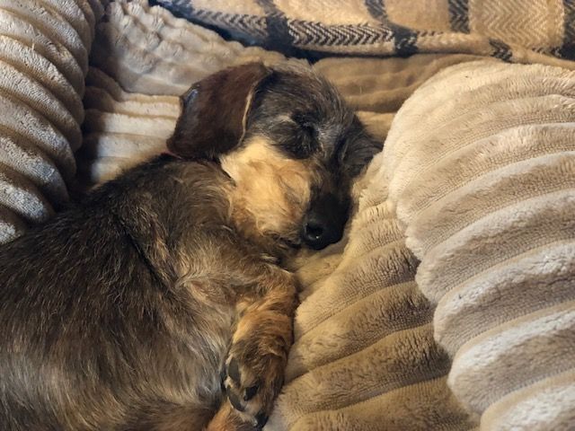 [Image: IMG-6627.jpg]