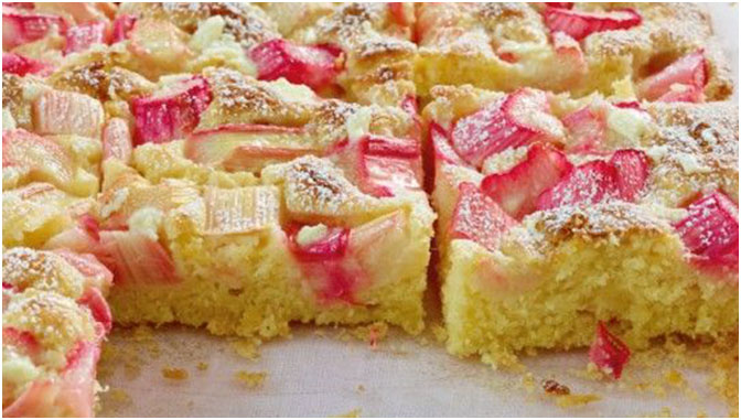 Rhabarber-Blechkuchen mit Vanillepudding Rhabarber-Blechkuchen mit Vanillepudding