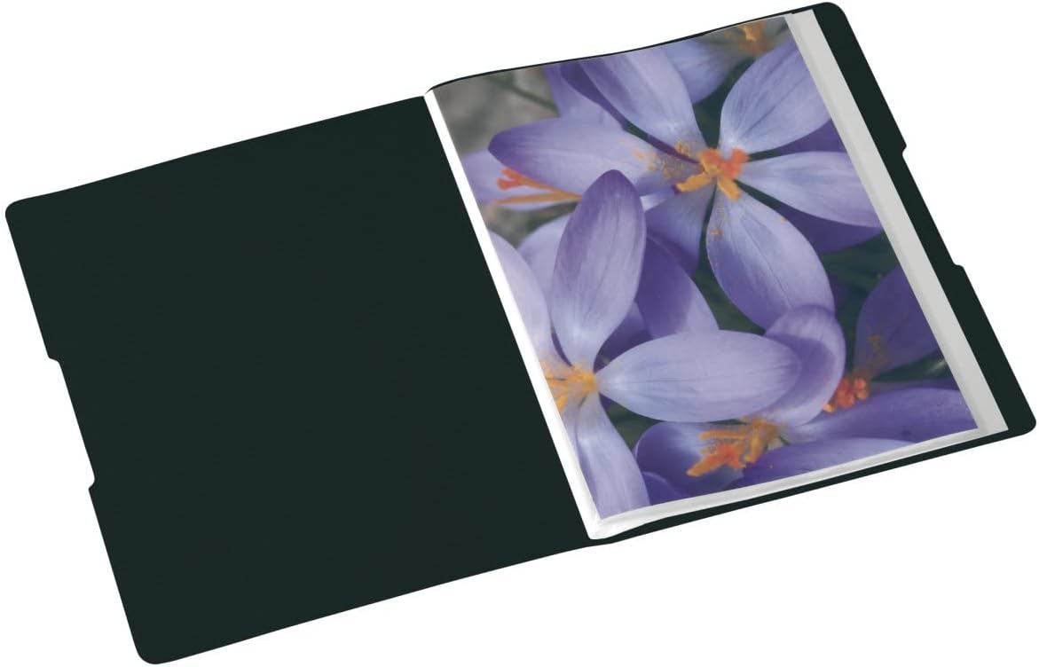 51At-DIm1bL._AC_SL1200_