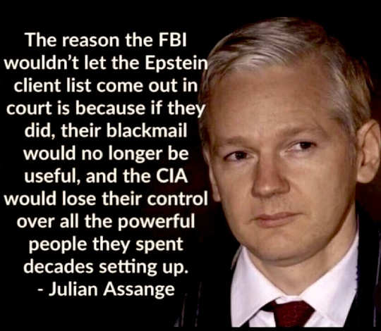 quote-cia-assange-couldnt-release-epstein-blackmail-material.jpg