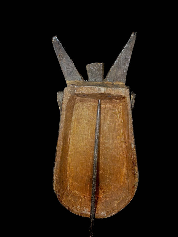 large image 12