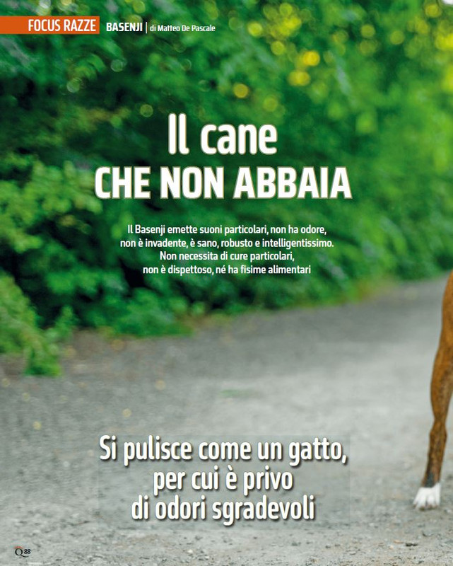 QuattroZampe Lug 2024 (9)