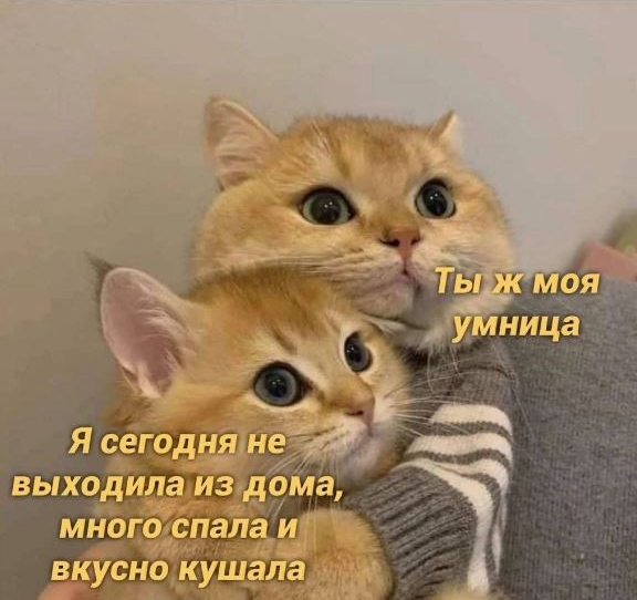 Image-3.jpg