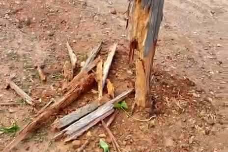 615280319-892726273121780-1884906745850845311-n