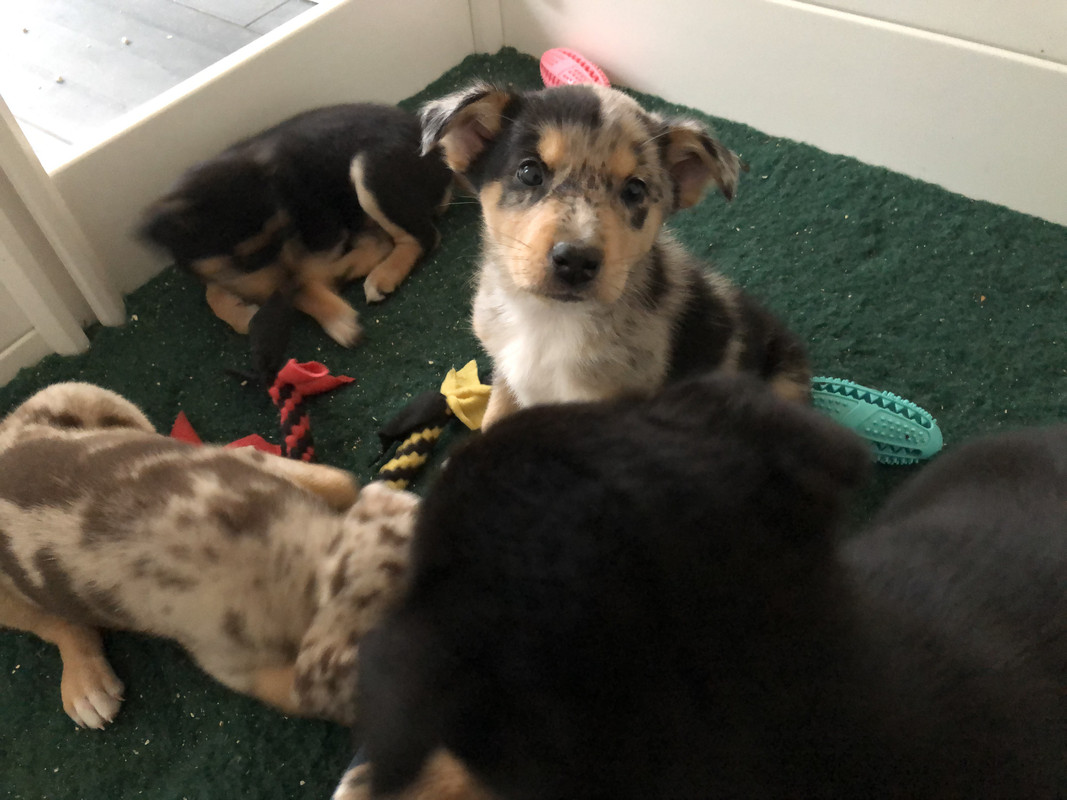 E43FE922-F21E-4A6C-9495-1C686B3061AF