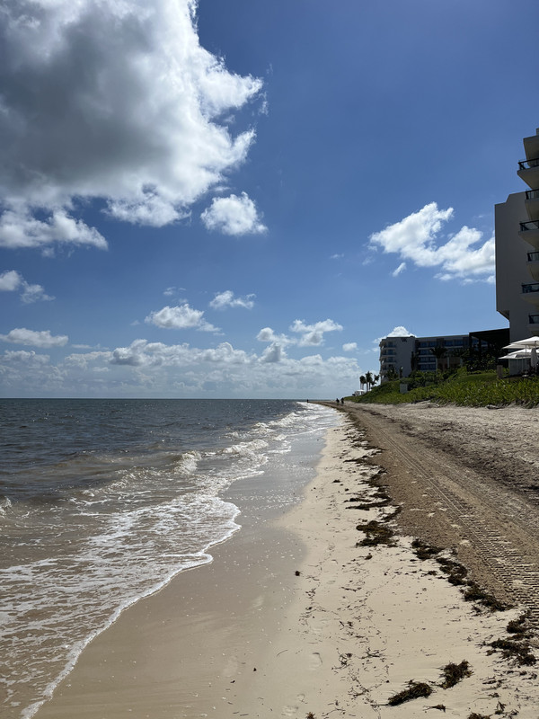 A498B3DE-4161-4CDF-A560-540450EB5758