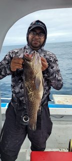 Mid-deep reef rods ready for bottom fishing