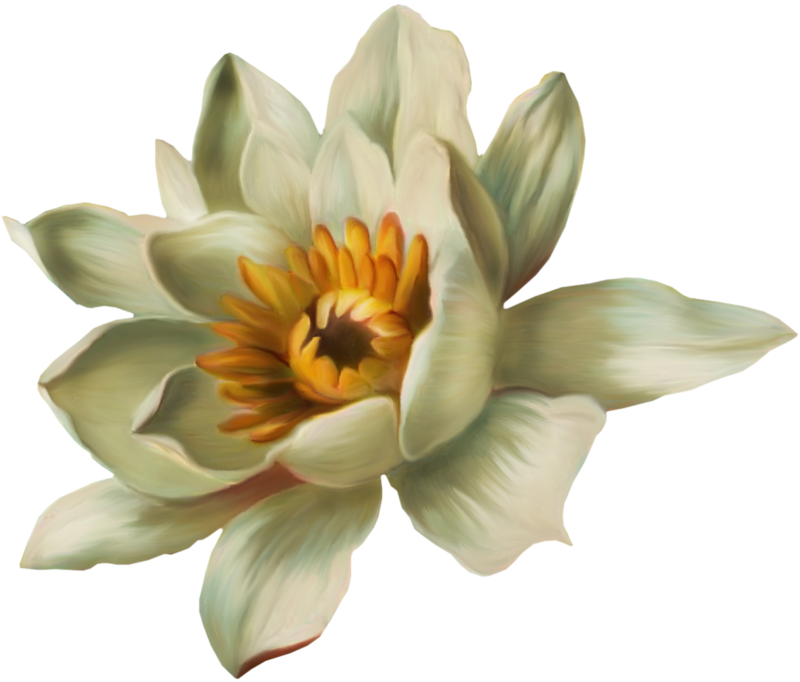 0_1c0c99_4aaf7a19_orig