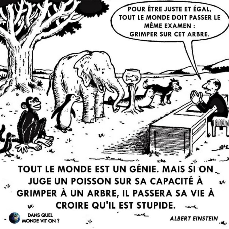 Qu’est ce qui fait que vous