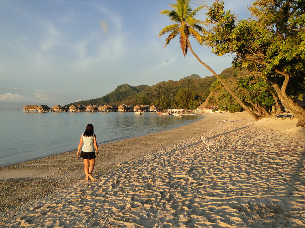 Polinesia, nosotros y la visión del paraíso. - Blogs de Polinesia Francesa - 2° Etapa: MOOREA. (15)