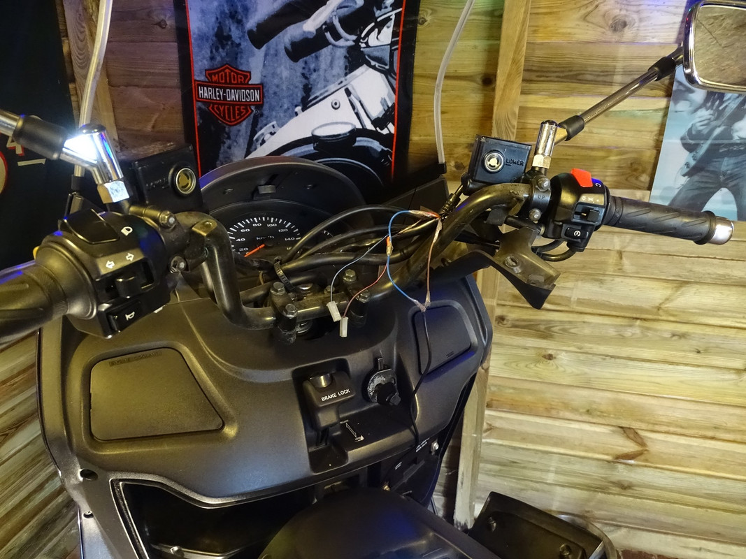 74182880_2365411103567652_6238730414538620928_o