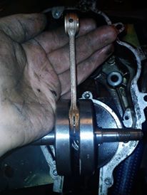 12346659_1483357681973637_224259618_n