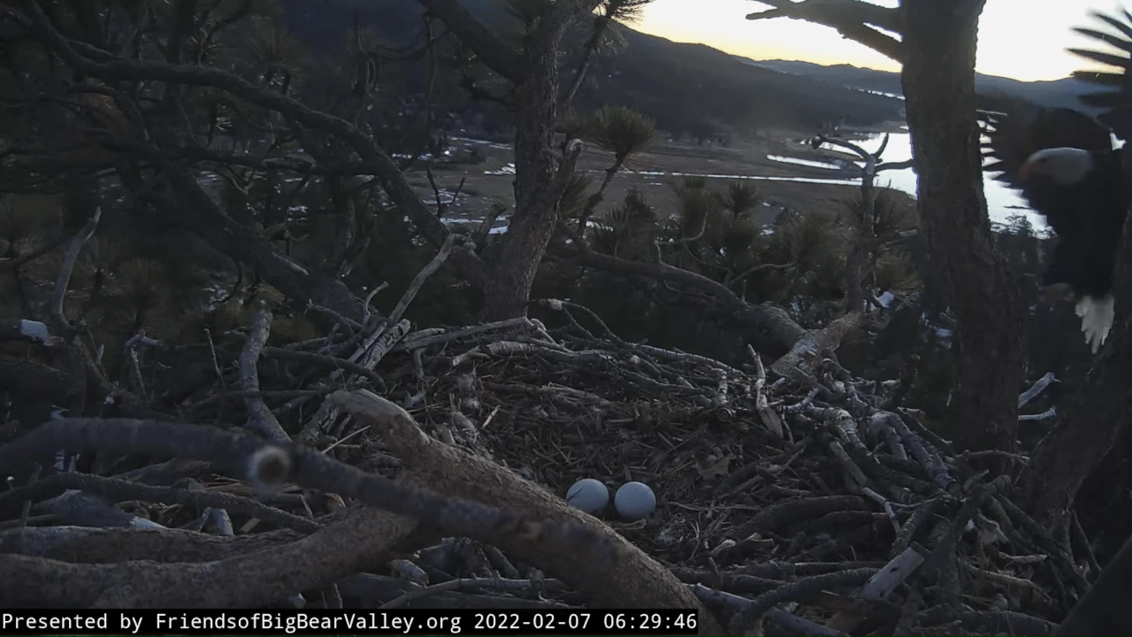 Webp.net-gifmaker (2)