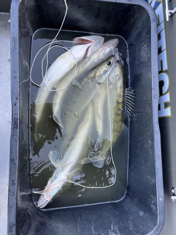 3B0520F9-8DC1-4DB5-B290-6089005F1B12