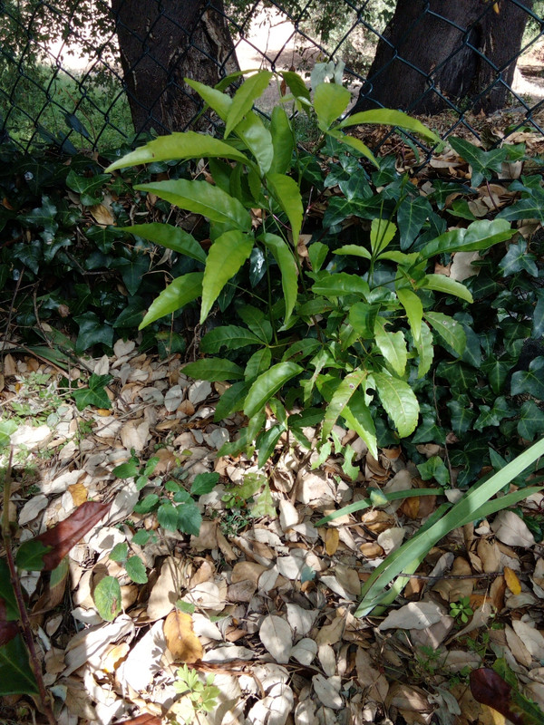 DSC_0313_resized_20190614_101454025