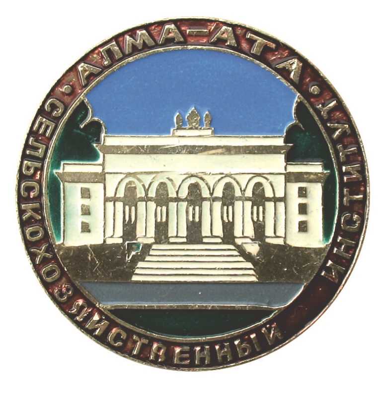 D 41