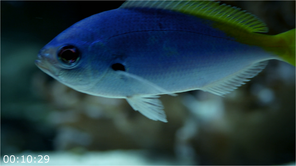 [Image: wz30tqwg8zr5.png]