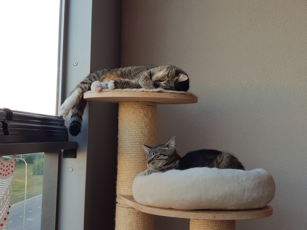 20190609-210015.jpg