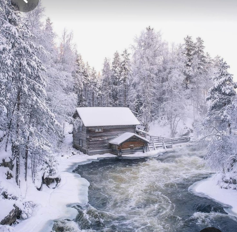 Screenshot_20230429_011600_Pinterest