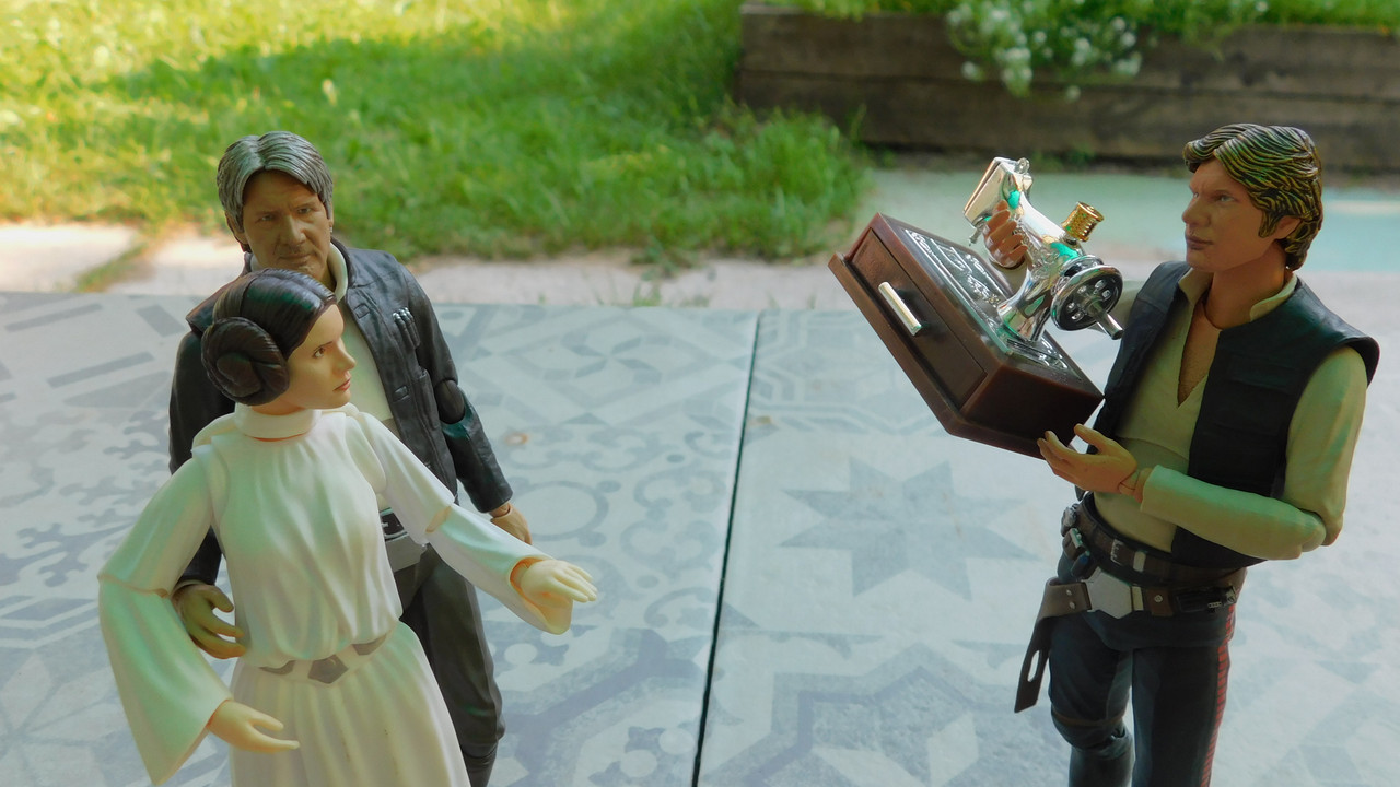 Дачно-Харлинский июнь-июль 2024 081