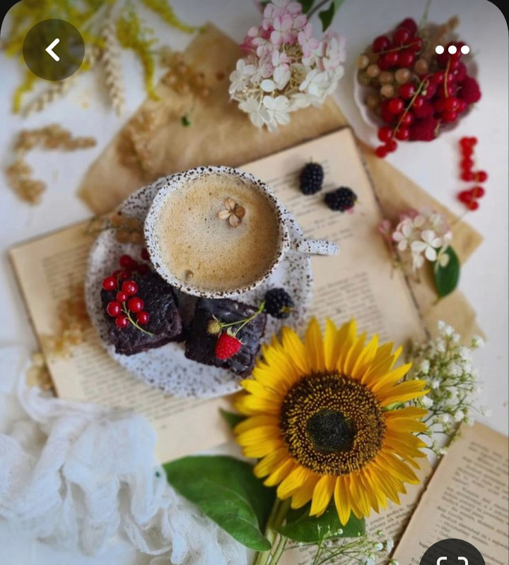 Screenshot_20230705_223722_Pinterest