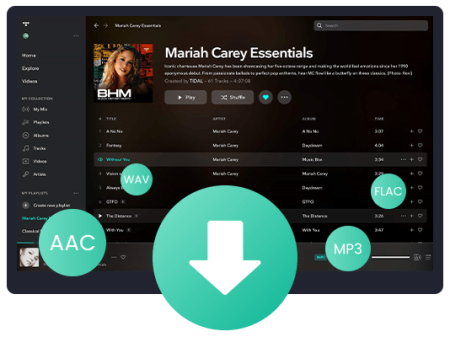 Macsome Tidal Music Downloader 1.2.1 Multilingual
