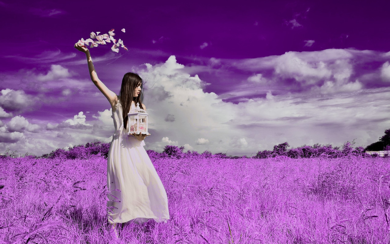girl-in-field-purple-1-7-3.jpg