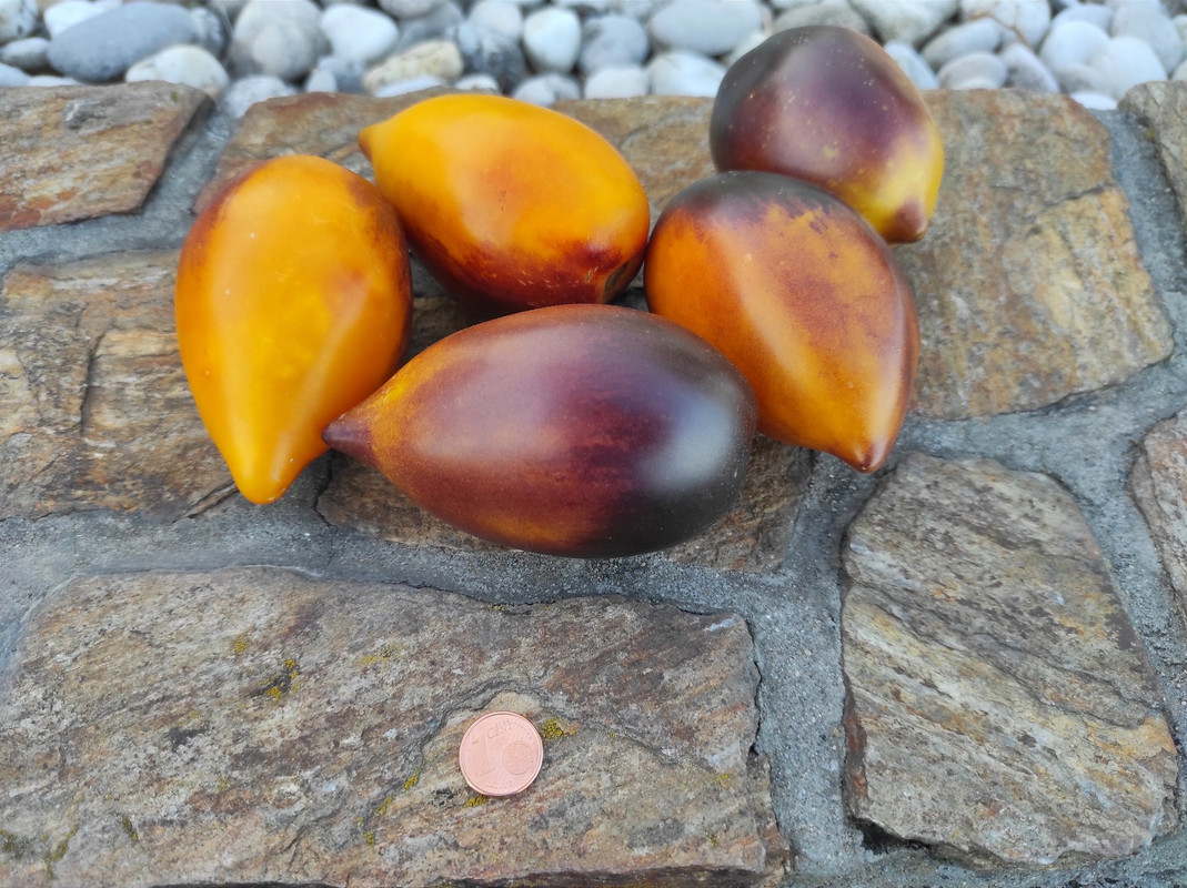 538345041_24372293172389719_2896033275949723403_n