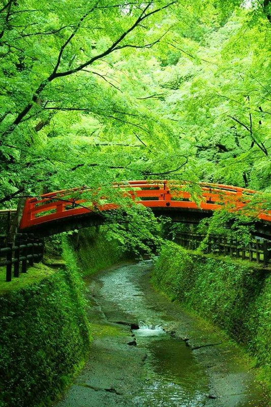 greenjapanesebridge.jpg
