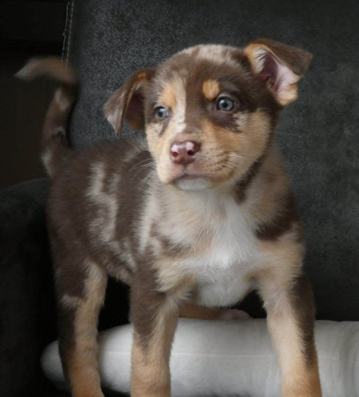 0A527BDF-259A-47D0-9646-6238AC9754DA