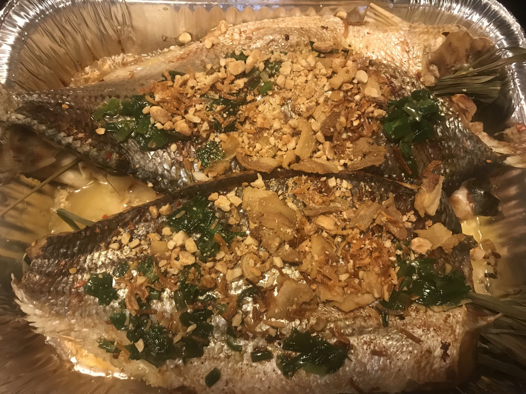 4EE6747D-DE2B-42DA-A934-36CA715CD955