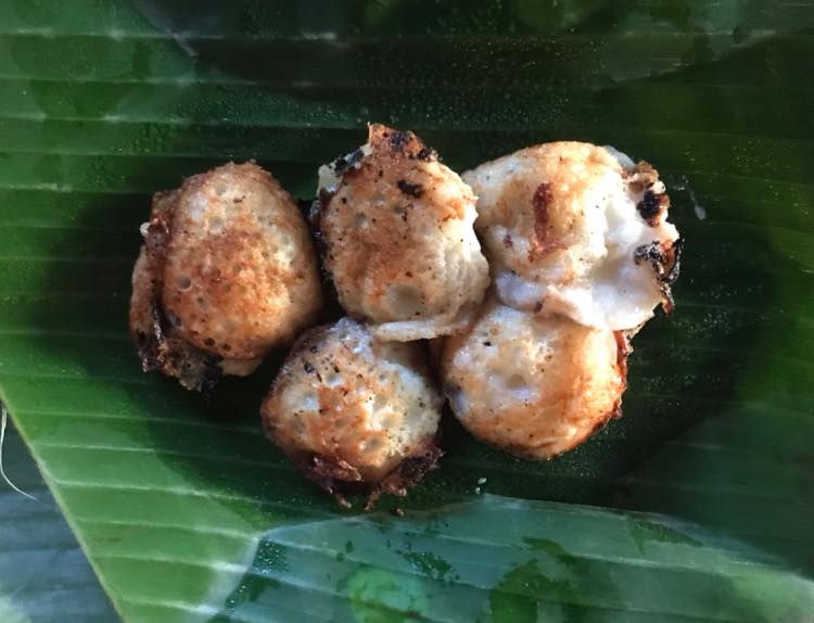 [Bild: Futtern-BDLH3.jpg]