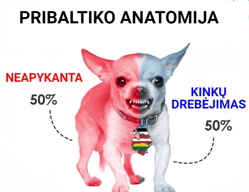 Lietuva nusprendė numirti gražiai