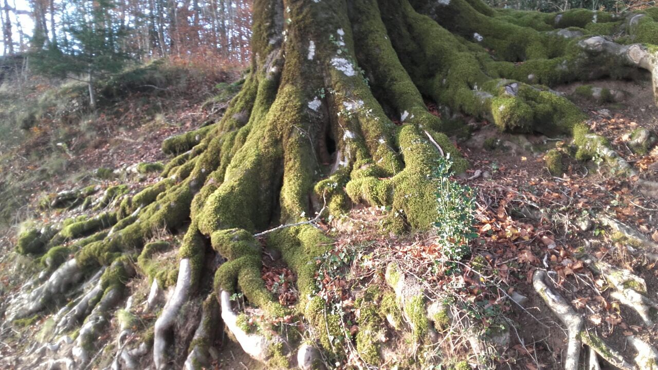 F2728BF1-AEAC-4875-911F-5F2B677CDB0D