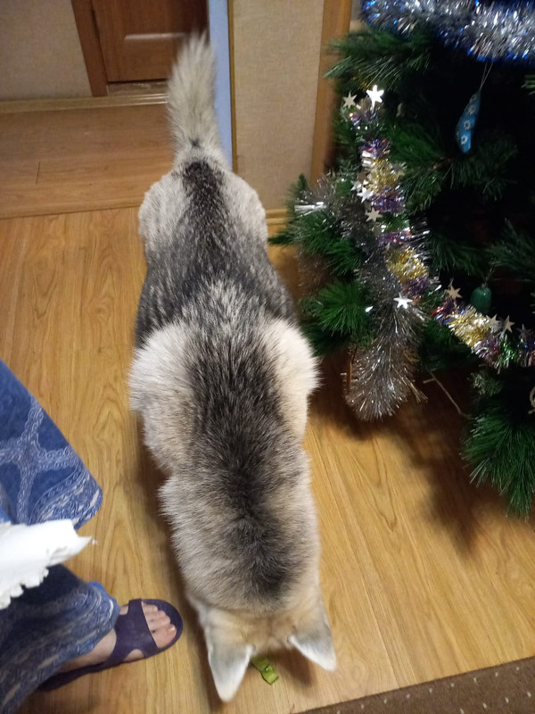 B68E1A0F-8376-4428-B0FC-05DA791D9C49