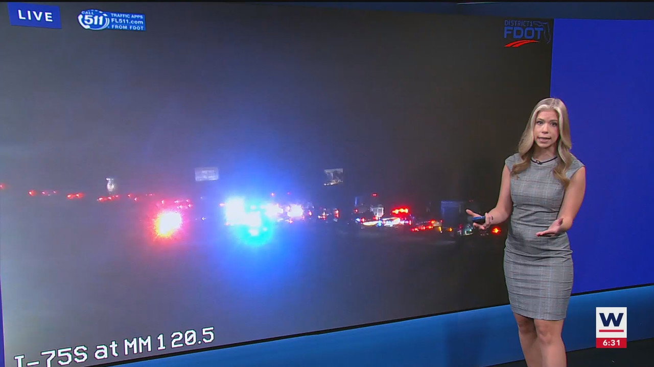 WINK News at 630am_20241101_10301100.ts_snapshot_02.25.670