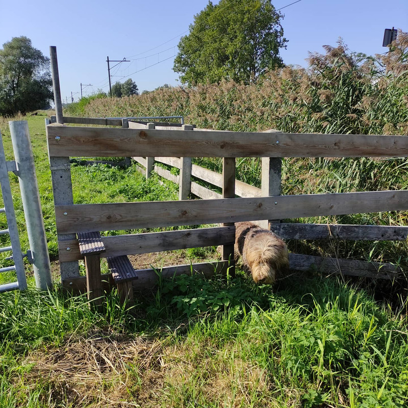 IMG_20200919_144950_042