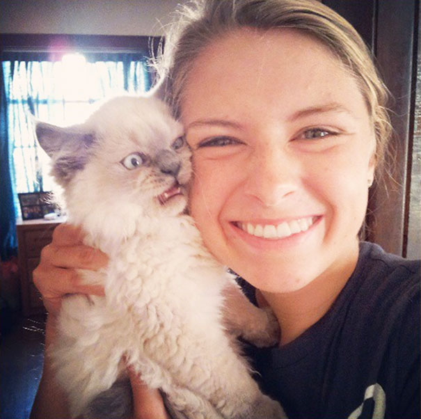 15 котов, которые просто терпеть не могут фотографироваться