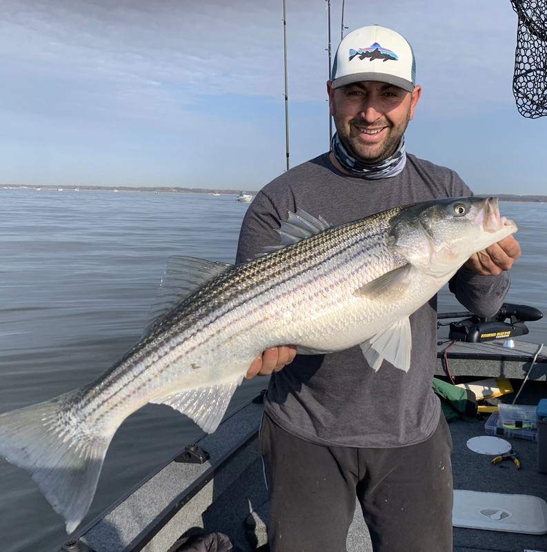 9C185AB0-EDA7-431C-B8F5-6CB69E5C9C3A