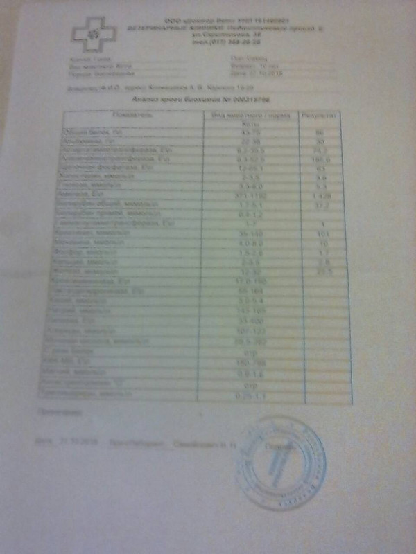 IMG-6e8842672b8ee21cdb44304c0b7ad28e-V