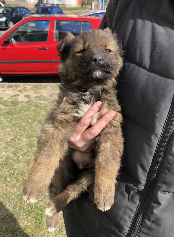 4093DF76-926E-4B2D-9FA8-BFBD94BBF94E